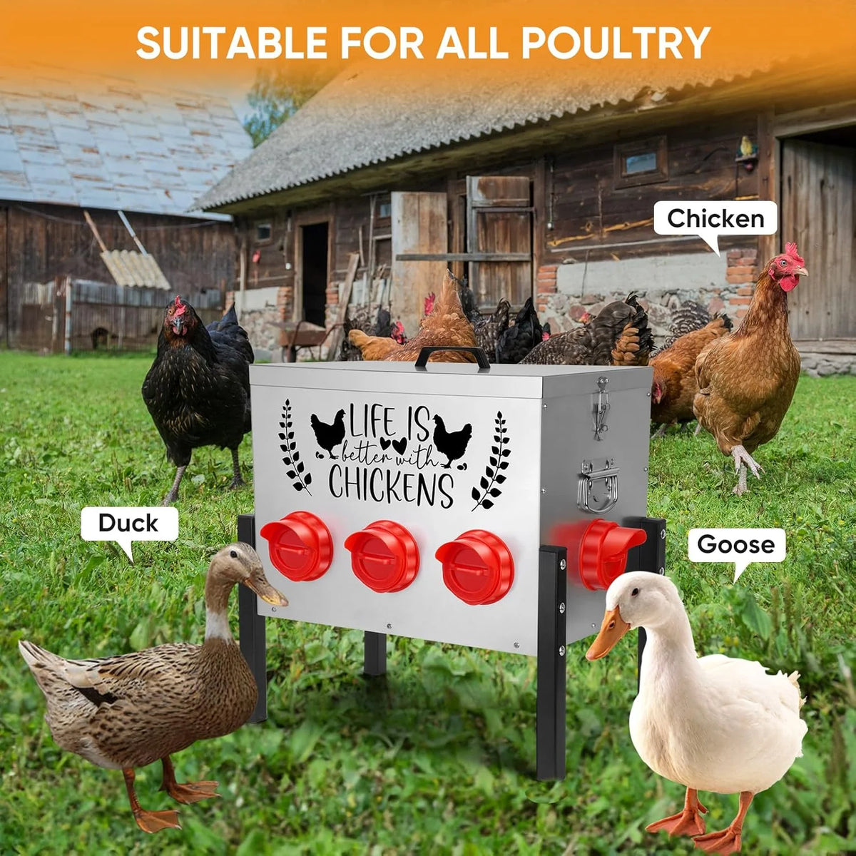 50LB Large Automatic Chicken Feeder �C 8 Feeding Ports, No-Waste Poultry Feeder, with Adjustable Legs & Locking Lid
