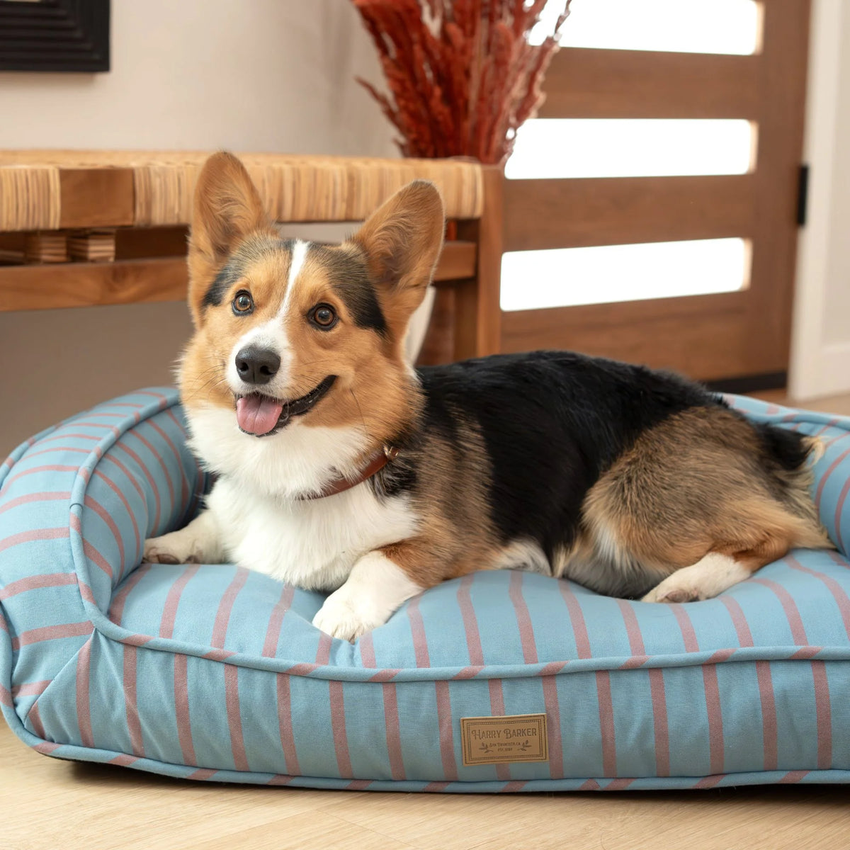 Harry Barker Blue Stripped Lounger Bed, Medium