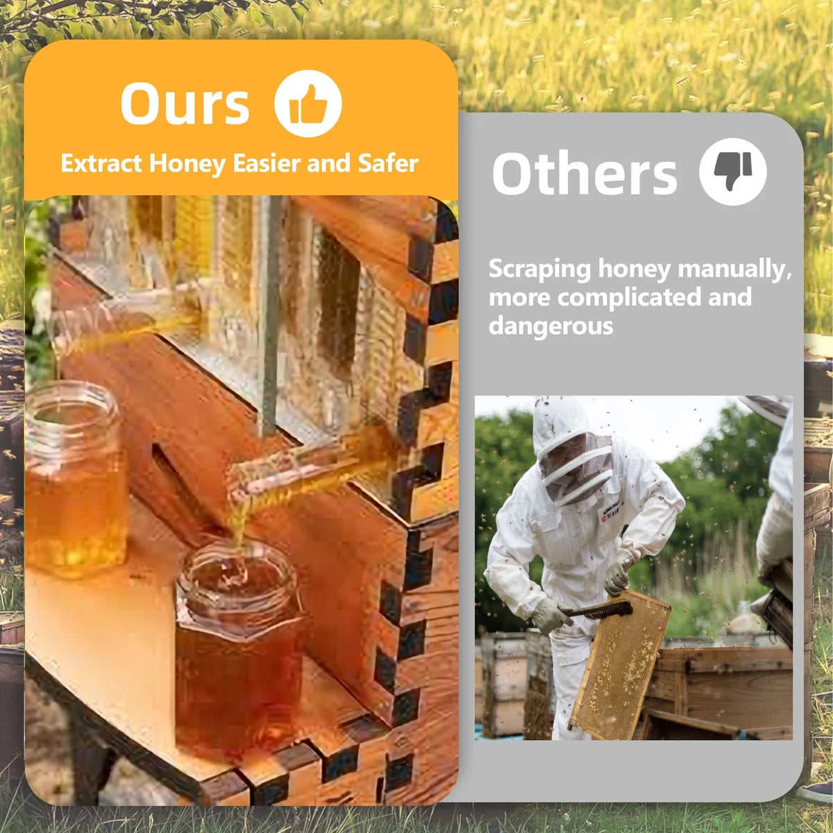 Bee Hive with Tap and Flow Hive Frame Complete Beehive Kit for Beginners