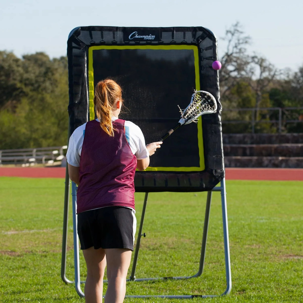 Champion Sports Deluxe Lacrosse Target: Ball Return Bounce Back Net Set for Professional, College and Grade School Training & Drills - 4' x 3' Rebound Area