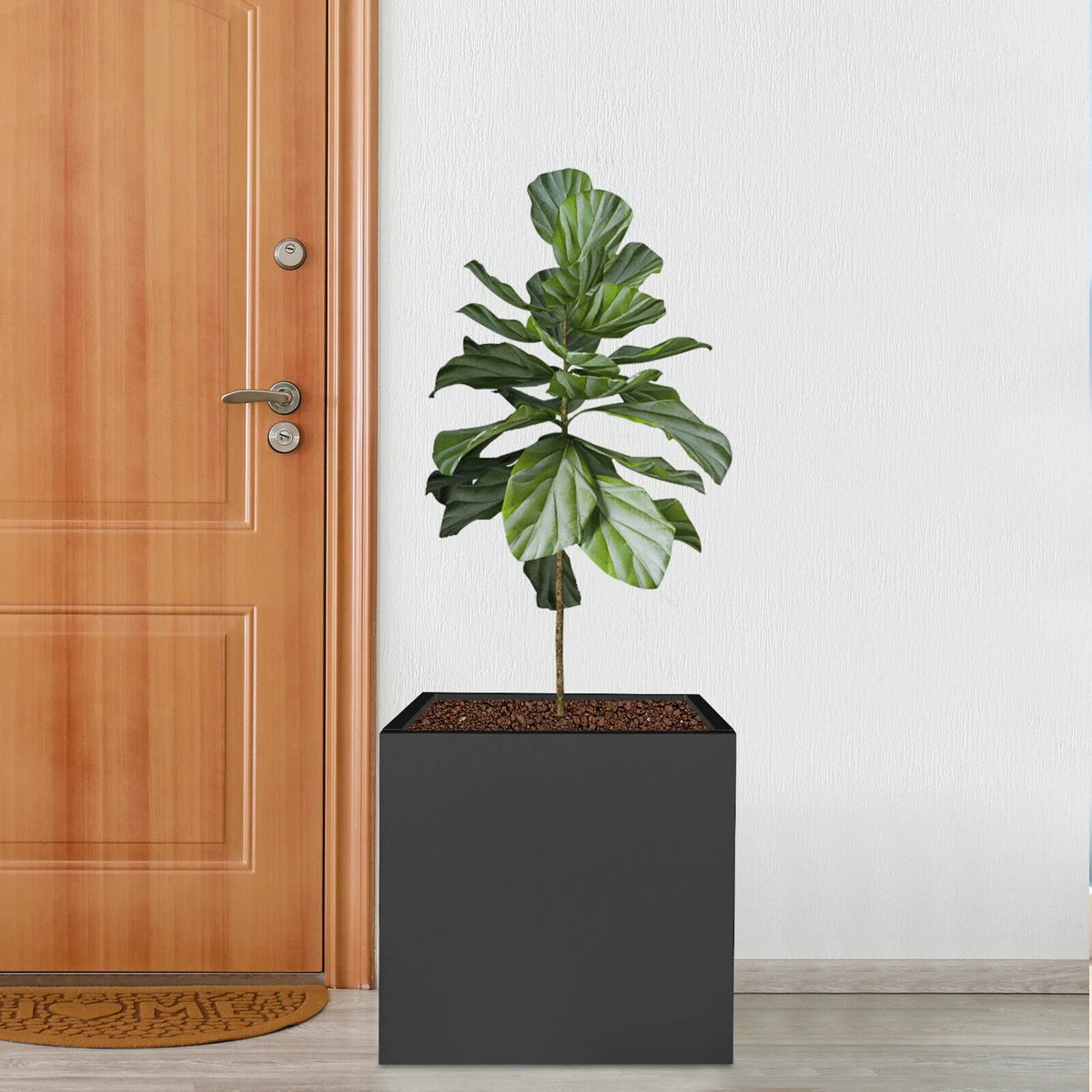 Indoor Outdoor Planter, Square Outdoor Planter For Both Indoor And Outdoor Use, For Gardens, Entrances, Patios Black Steel Square Cube Planter Box
