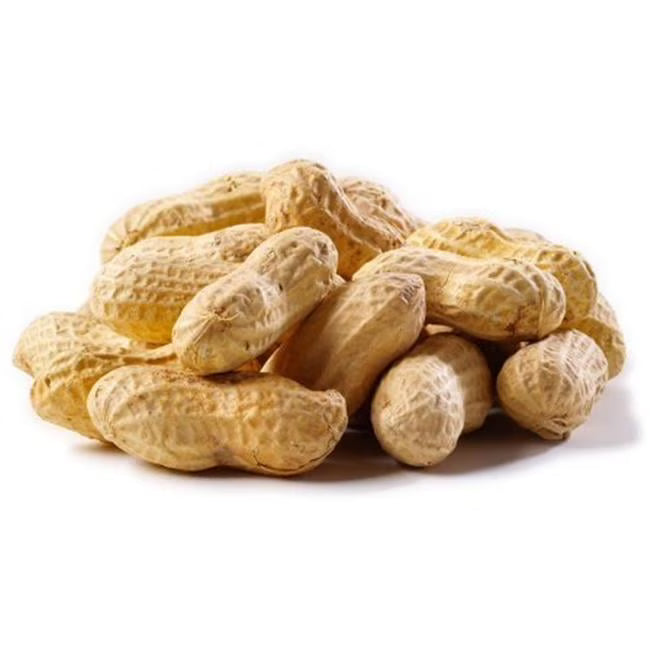 Natures Select Ingredients 080900 50 lbs Peanuts Raw in Shell for Wild Bird Feed