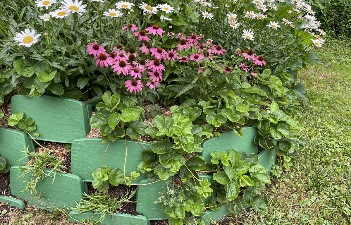 Varden Retaining Wall Block - Lightweight, Easy to Install, Shippable 10 Count Box
