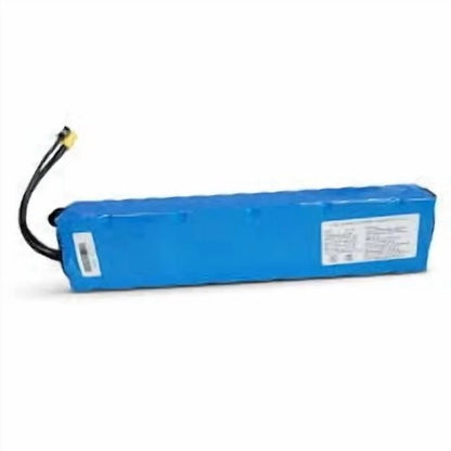 Microgo M5 Battery Electric scooter battery
