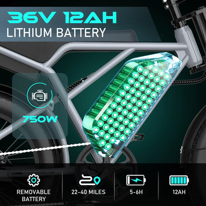 COLORWAY 750W 20"x4.0 Fat Tire Electric Bike, 48V 15Ah Battery, Off-road E-Bike for Adults, UL2849 Certified