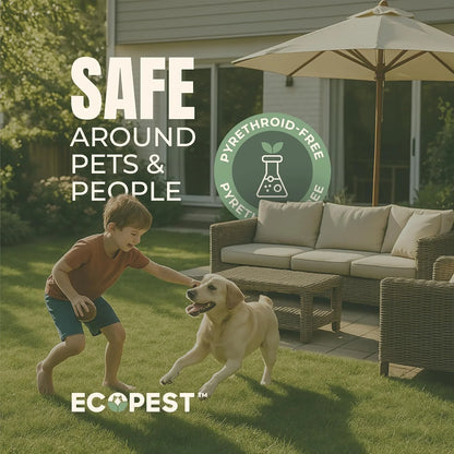 Mite Spray �C Natural Killer for Dust, Bird, Spider, Scabies & Other Mites | Bedding & Furniture-Safe | Treatment for Chickens, Poultry, Dogs, Cats, Reptiles & Other Pets | Indoor & Outdoor (1 Gallon)