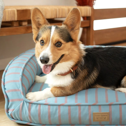 Harry Barker Blue Stripped Lounger Bed, Medium