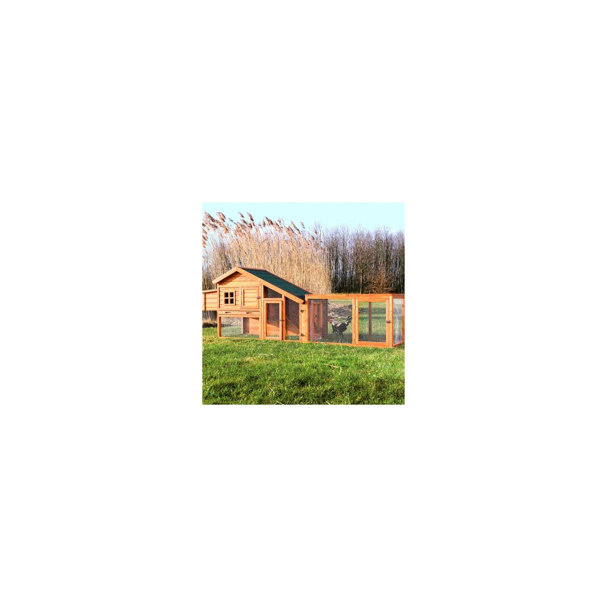 TRIXIE Weatherproof Outdoor Wooden Chicken Coop with 2 Nesting Boxes & Run, Brown