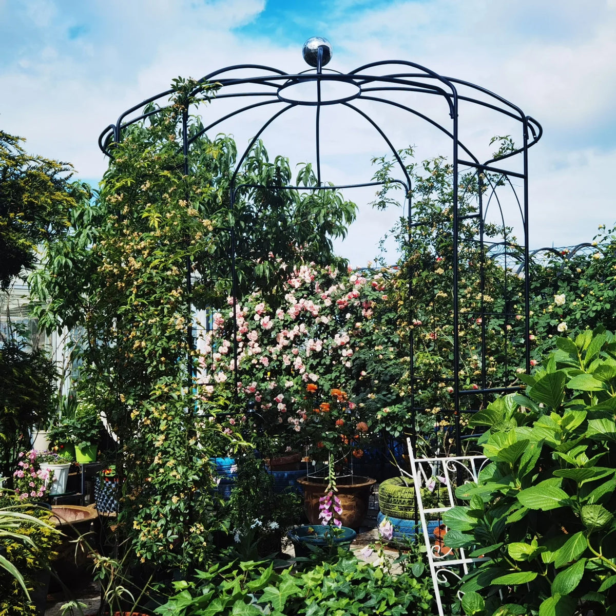 French Birdcage Gazebo with Metal Arch Trellis for Wedding Photography & Garden Decor, Sturdy Galvanized Steel, Black