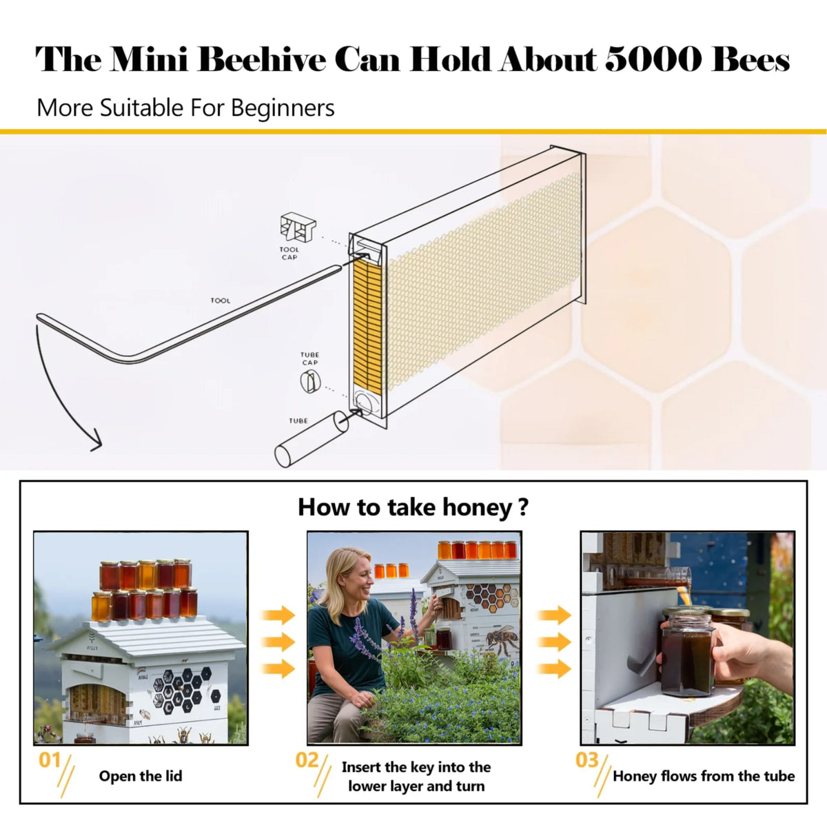 AUSHIVE Wax Coated Cedarwood Bee Beehive Kit with 4 Beehive Frames & 6 Brood Frames, Beige