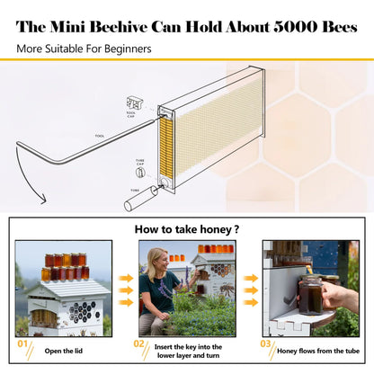 AUSHIVE Wax Coated Cedarwood Bee Beehive Kit with 4 Beehive Frames & 6 Brood Frames, Beige