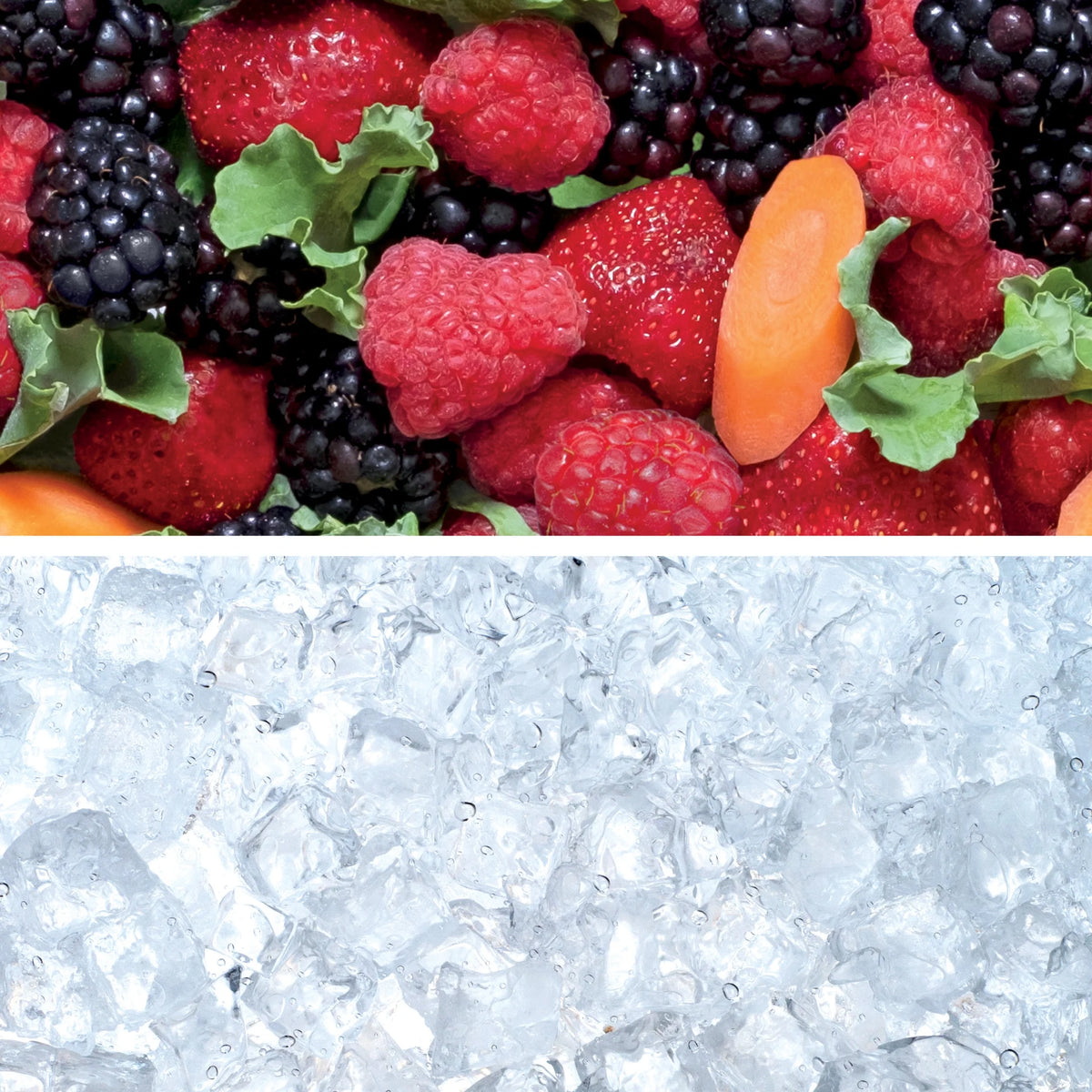 Ninja?  Nutri-Blender Plus
