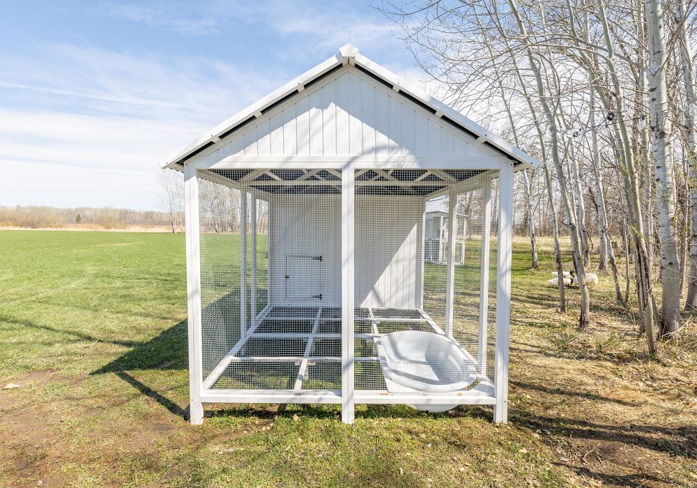 Zylina Modern Duck Barn - Duck Coop