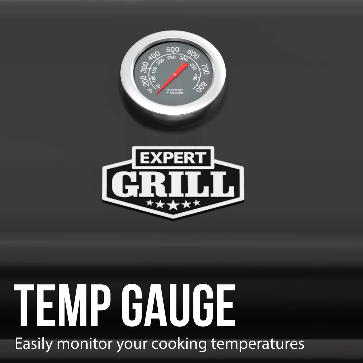 Expert Grill 5 Burner Propane Gas Grill with Side Burner