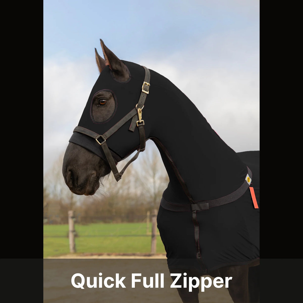 RESISTANCE Horse Full Body Slinky with Full Zipper Face - Lycra Material - available in 11 colors