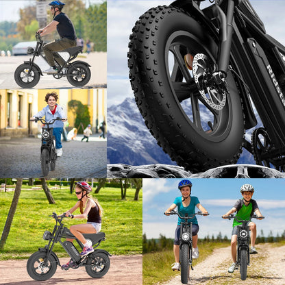 1500W MTB Electric Bicycle 48V 20Ah Removable Battery E-Bike��Electric Bike for Adults 20" Fat Tire Electric Motorcycle, Shimano 7 speed Full Suspension Mountain Bike UL2849