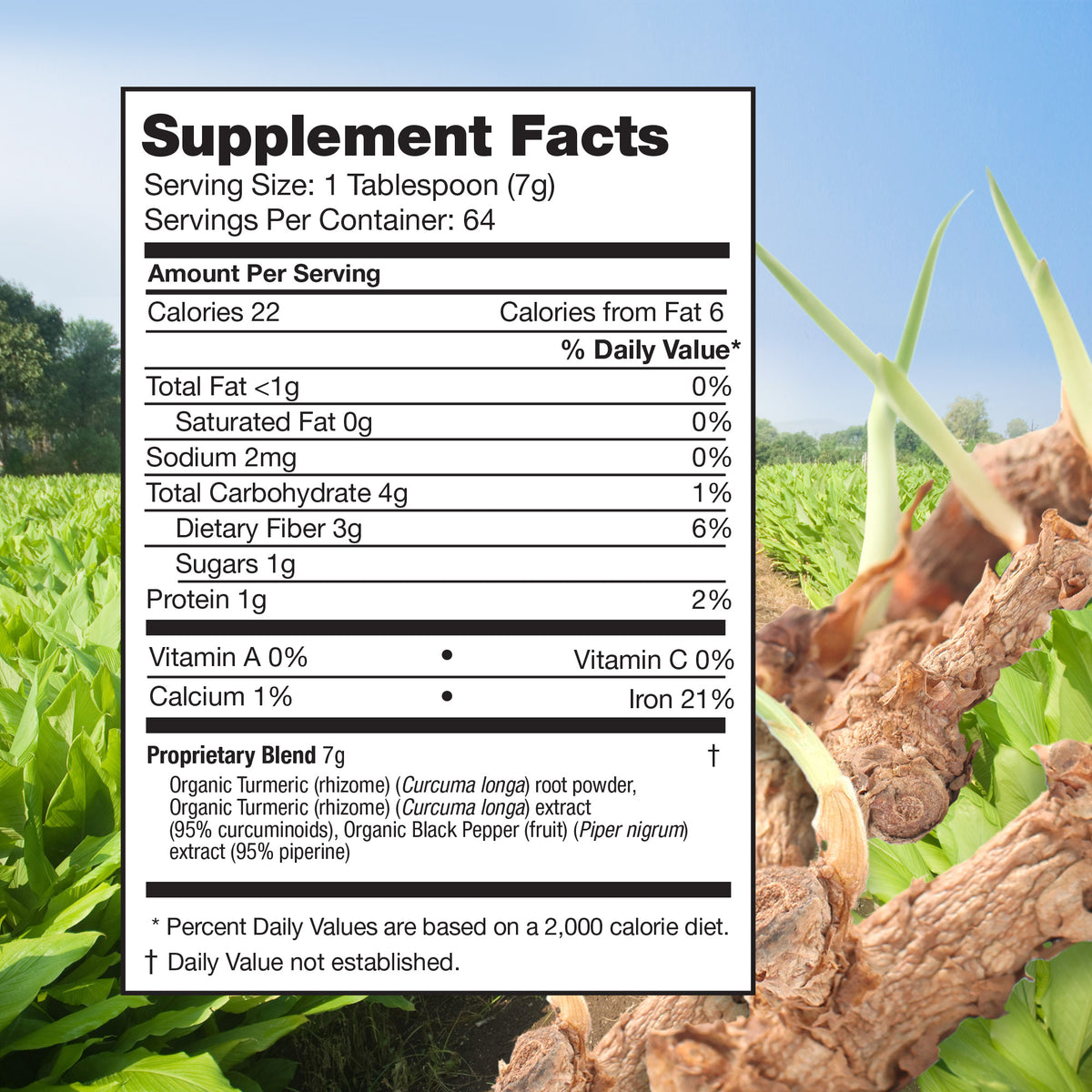 FEELGOOD USDA Organic Turmeric Powder, 16 oz
