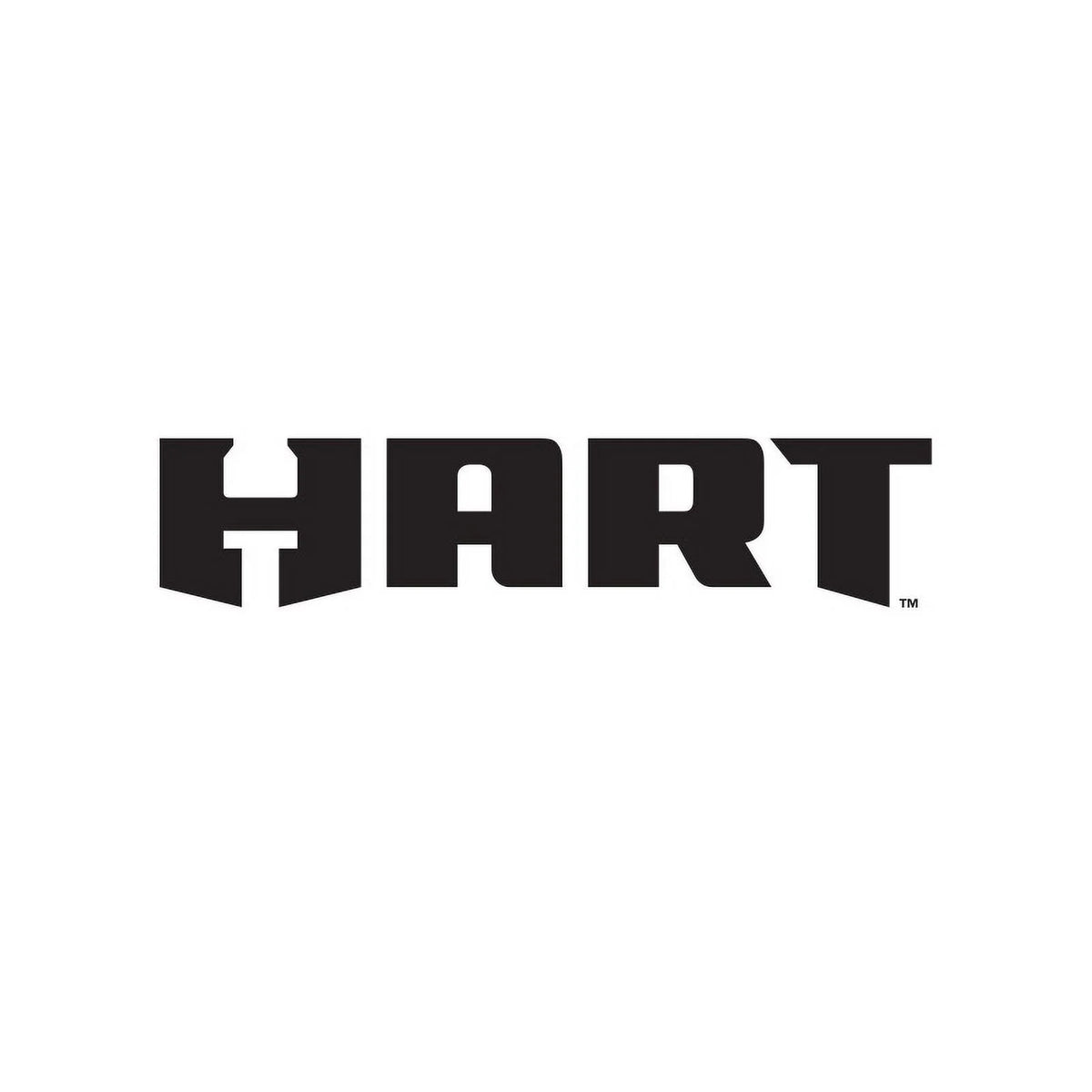 HART 20V Dual Function Inflator with 2-Pack 4AH Battery Kit Bundle