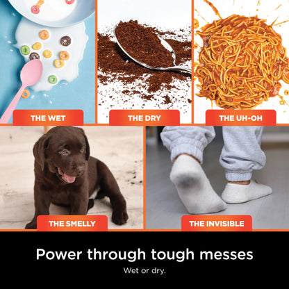 Shark? HydroVac? MessMaster? 3-in-1 Cleaner