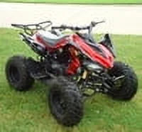 RPS 125cc ATV Rider 8 Big Tire