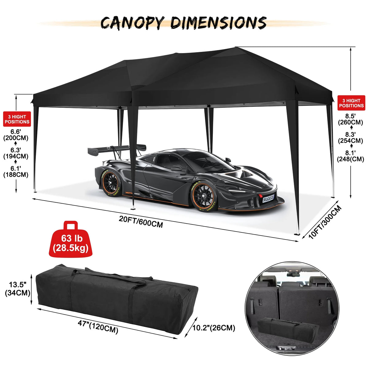 SANOPY 10'x10' EZ Pop Up Canopy Tent Outdoor Party Instant Shelter Portable Folding Beach Canopy with 4 Sandbag & Carrying Bag, Black