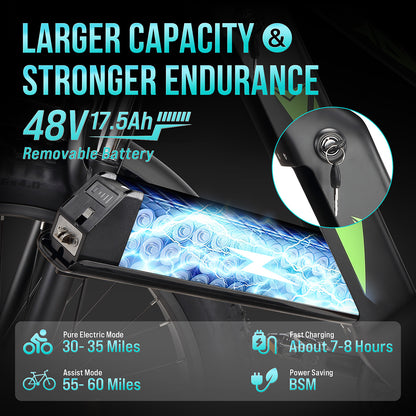 Electric Bike for Adults,1000W E Bikes for Men,26" Fat Tire Electric Bikes,48V 17.5AH Battery,28MPH,7 Speed&Dual Hydraulic Disc Brakes,LCD Screen,60Miles Range,Electric Mountain Bicycle