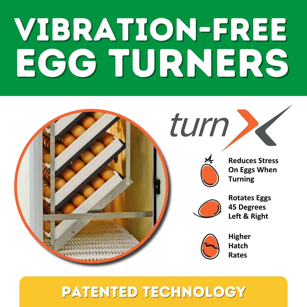 HB175C Egg Incubator with Hatcher Combo. Automatic Egg Turning and Humidity Control, Adjustable Egg Setter Trays, Perfect Poultry Incubator, Set and Forget Design. - Cimuka by Hatching Time