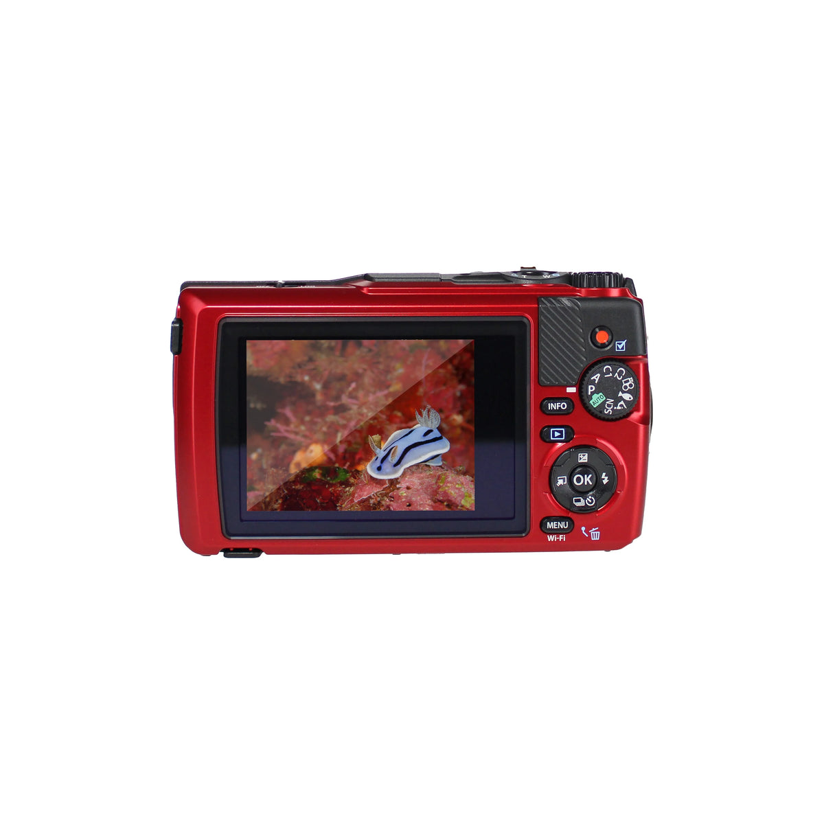 OM SYSTEM Tough TG-7 Red Underwater Camera, 44x Macro Shooting, 12MP, Float Strap, 64GB Card