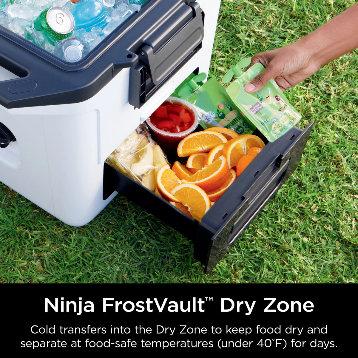 Ninja FrostVault 30qt Hard Cooler with Dry Zone, Ice Chest Cooler, White, FB131WH