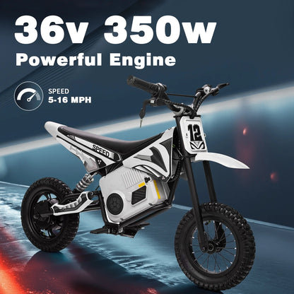 Kerry Yoo C11 36V Electric Dirt Bike for Kids 8-14, 350W Ride on Motorcycle, Electric Motorbike Teens,16 mph, High/Low Speeds-Red
