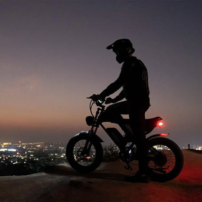 Ridstar Electric Bike for Adults,Peak 1500W 30MPH,48V 15.6Ah Electric Bicycle,Full Suspension Mountain Bike UL2849