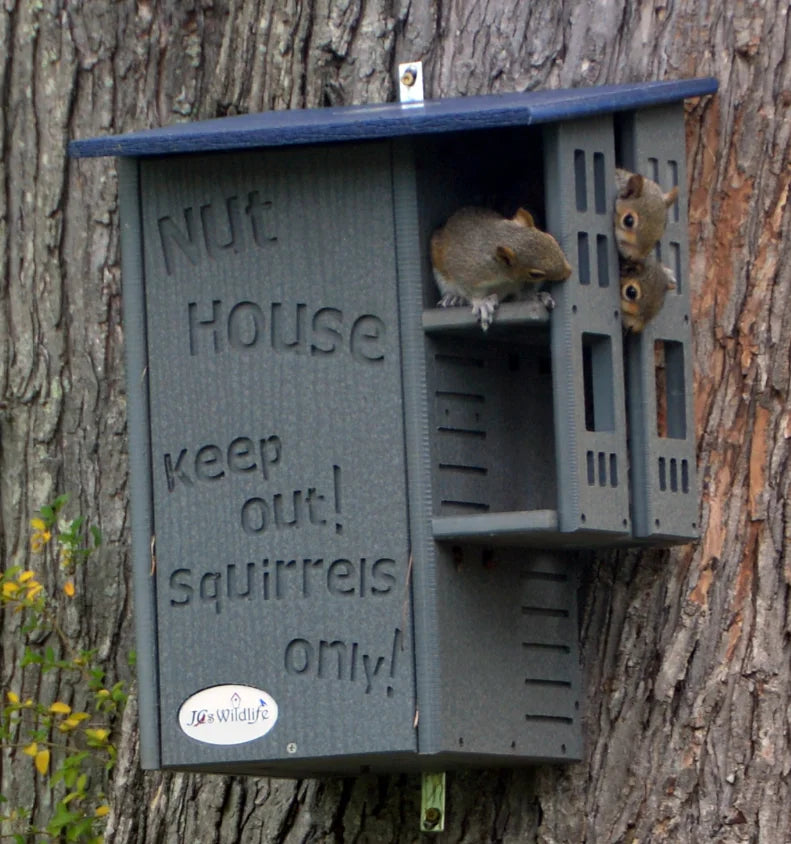 JCs Wildlife Ultimate Squirrel House Nesting Box (Blue/Gray) - A Perfect Home for Squirrels!