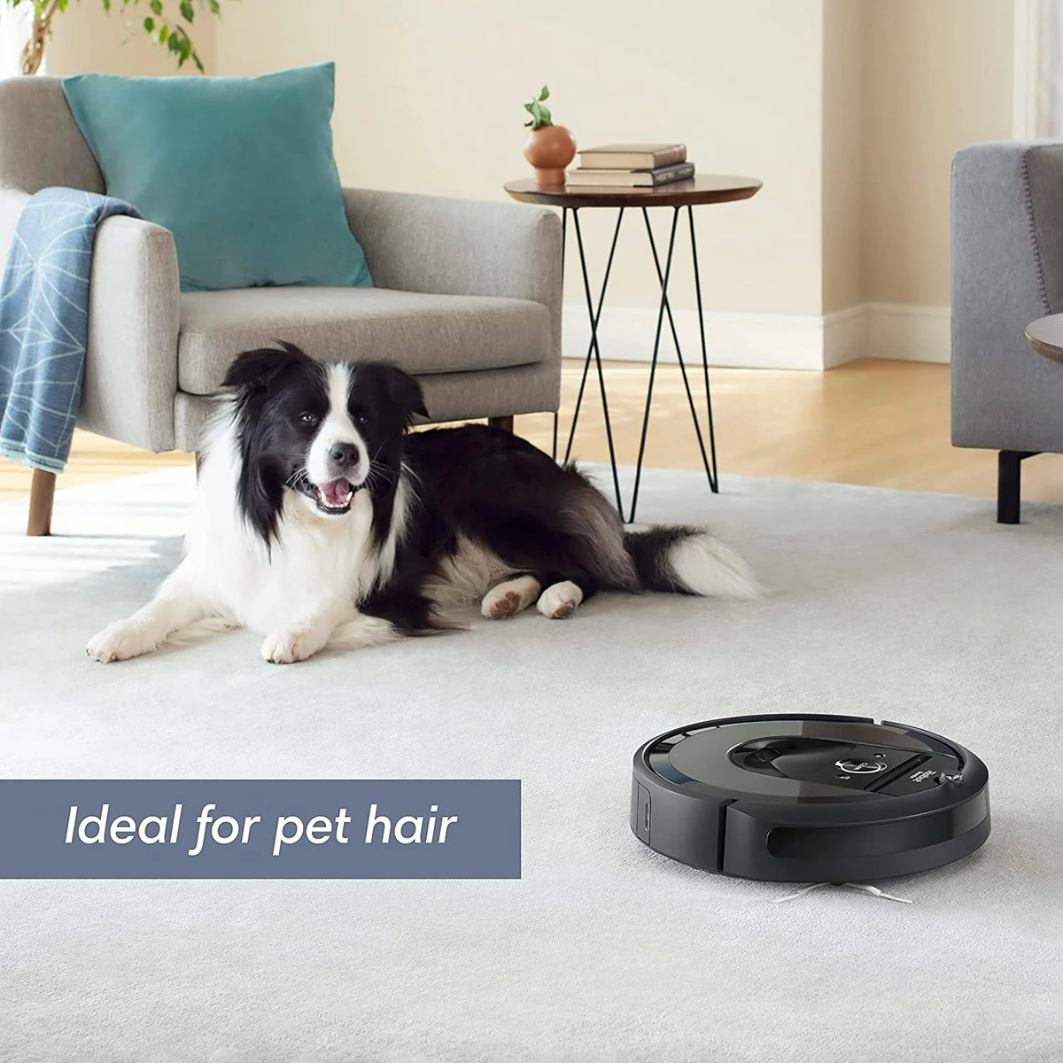 iRobot i755020 Roomba i7 plus Wi-Fi Connected Robot Vacuum with Automatic Dirt Disposal (7550)