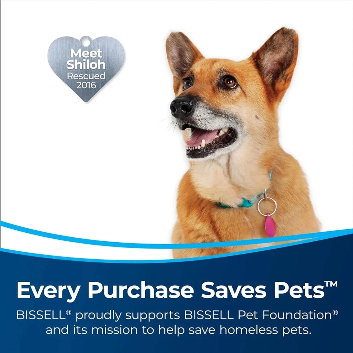BISSELL Pet Hair Eraser Slim Corded Stick Vacuum, Carpet, Area Rugs, Hard Floor, Upholstery, Lightweight, Swivel Steering, Tangle-Free Brish Roll, 3875, Black