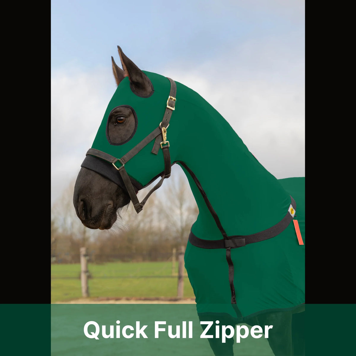 RESISTANCE Horse Full Body Slinky with Full Zipper Face - Lycra Material - available in 11 colors