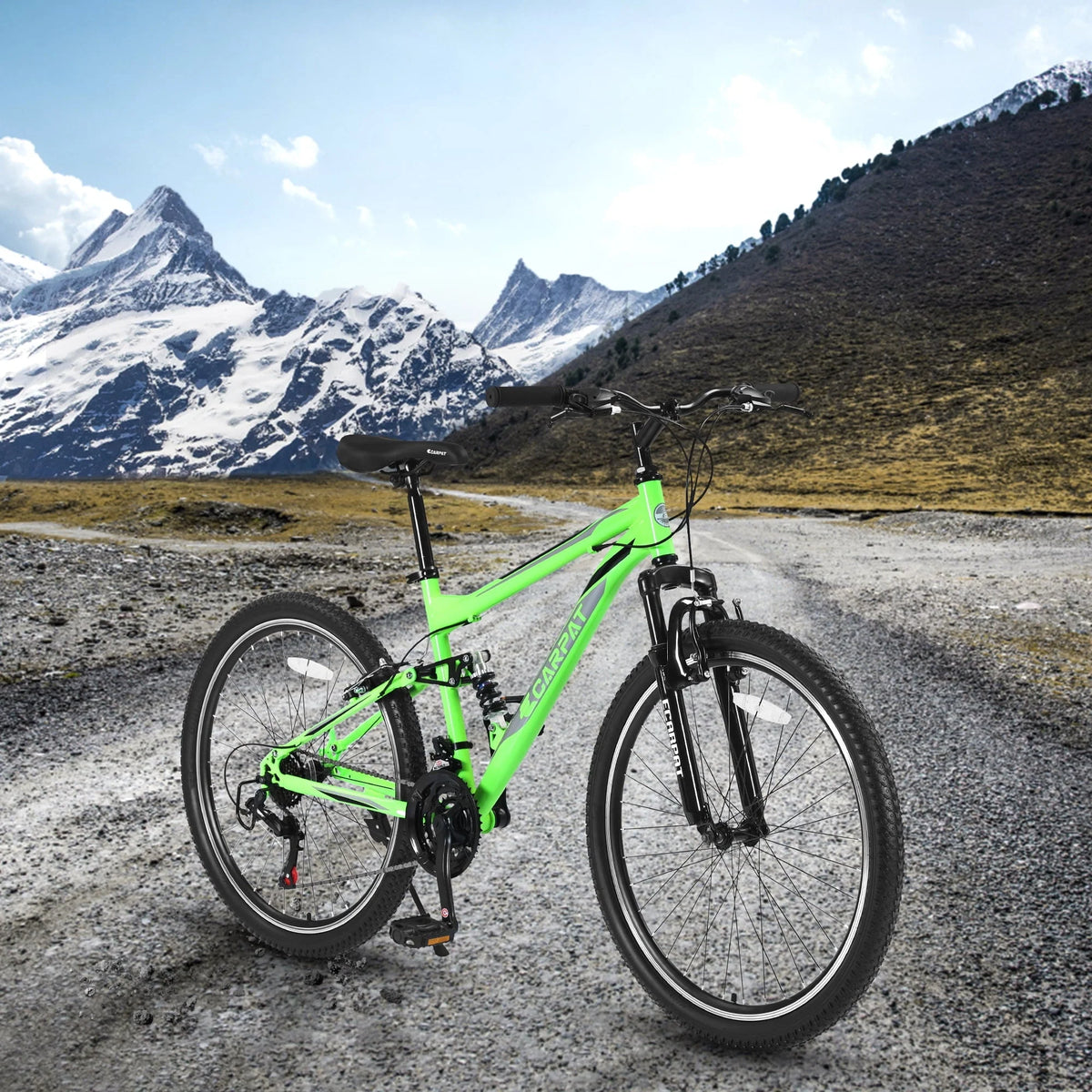 Full Suspension Mens Mountain Bike, 26 inch Bike for Men Women, Green