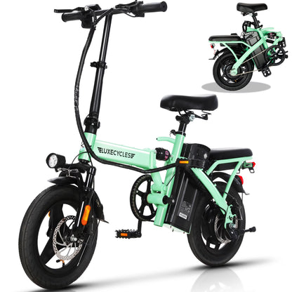 Alpha Joy Electric Bike for Adults 20", Rated 500W E-Bike 48V 13AH UL2849