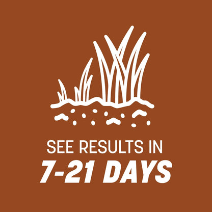 Pennington Sahara II Bermudagrass Penkoted Grass Seed 25 lb, Full Sun, Heat Tolerant