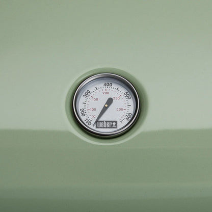 Weber Lumin Electric Grill Seafoam Green