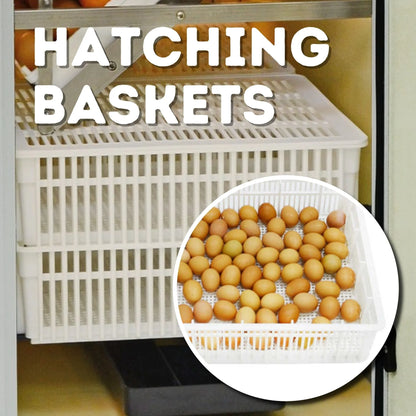HB175C Egg Incubator with Hatcher Combo. Automatic Egg Turning and Humidity Control, Adjustable Egg Setter Trays, Perfect Poultry Incubator, Set and Forget Design. - Cimuka by Hatching Time