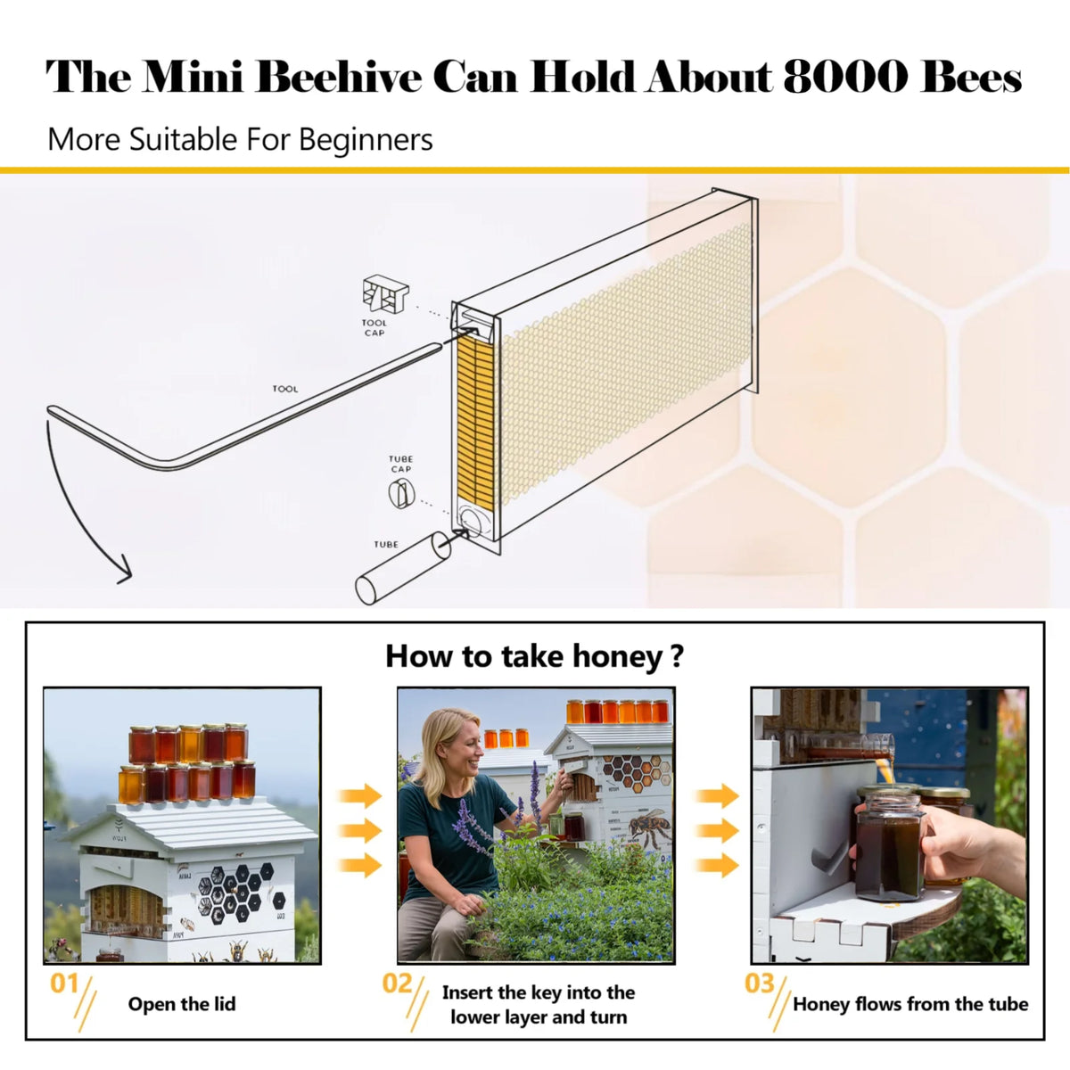 Bee Hive with Tap and Flow Hive Frame Complete Beehive Kit for Beginners