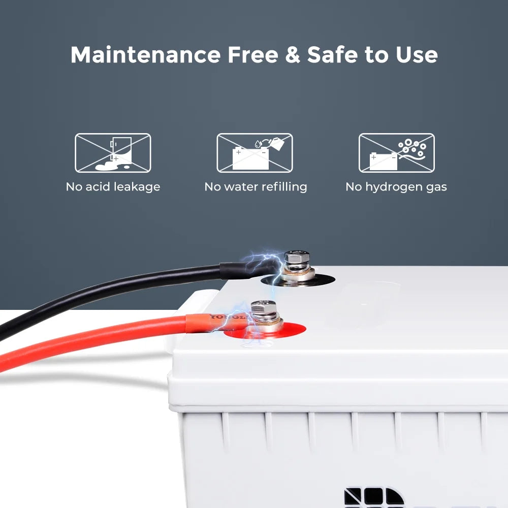 Renogy 200Ah Deep Cycle AGM Battery 12 Volt, 2000A Max Discharge Current, Safe Charge Appliances, RVs, Marine, Solar, off-Grid
