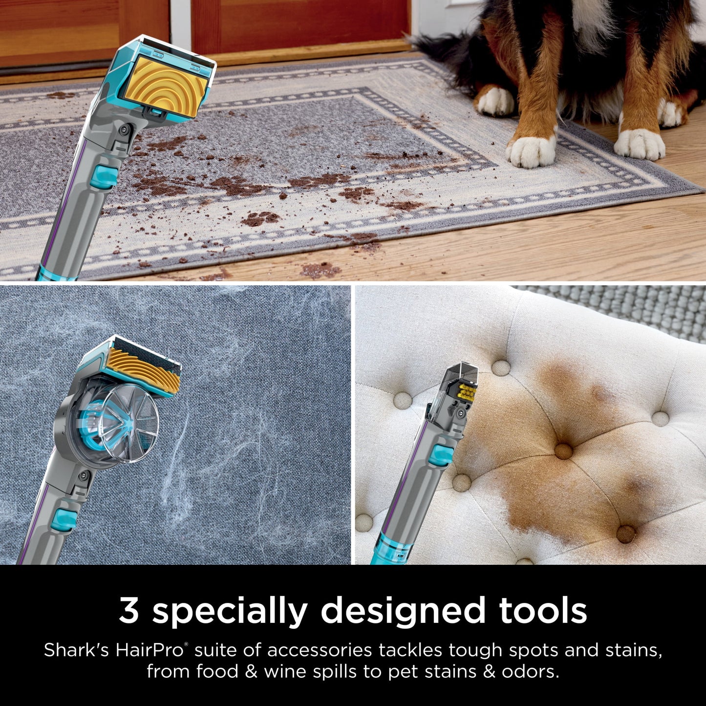 Shark CarpetXpert 2-in-1 Upright Deep Carpet Corded Vacuum, with HairPro StainStriker Technology, Built-in Spot & Stain Eliminator, with 12oz Deep Clean Pro and 16oz Oxy Multiplier, EX300 Gray