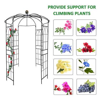 French Birdcage Gazebo with Metal Arch Trellis for Wedding Photography & Garden Decor, Sturdy Galvanized Steel, Black