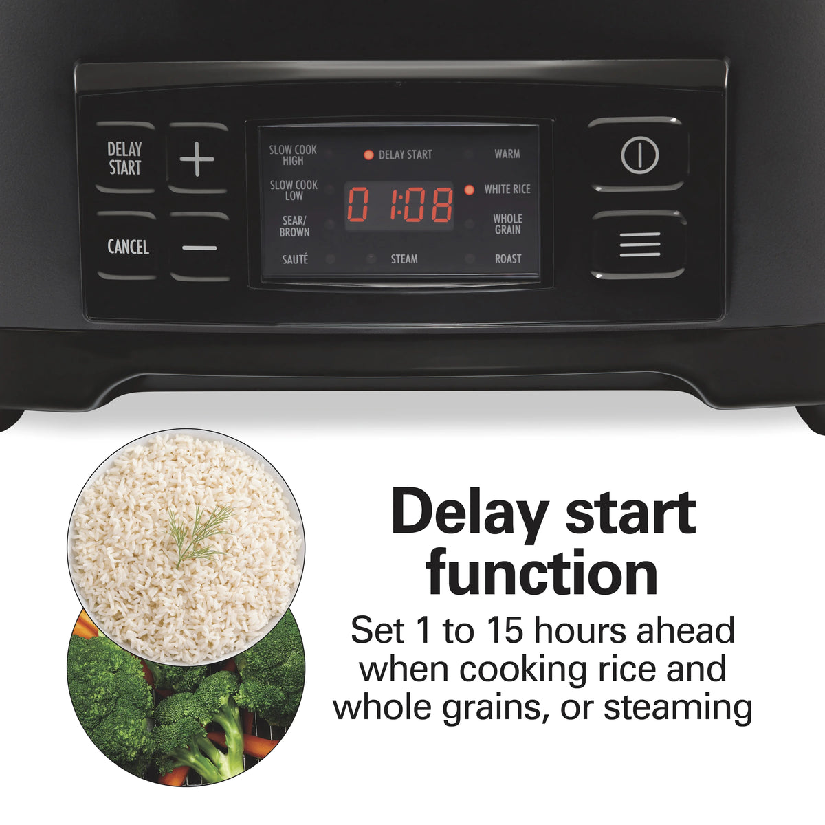 Hamilton Beach 9-in-1 Multi Cooker, 6 Qt Searing Slow Cooker, Nonstick Aluminum Crock with Removable Pot, Black