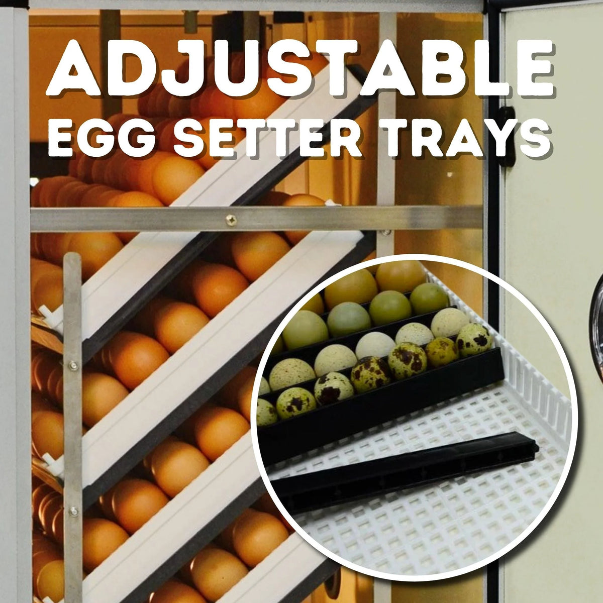 HB175C Egg Incubator with Hatcher Combo. Automatic Egg Turning and Humidity Control, Adjustable Egg Setter Trays, Perfect Poultry Incubator, Set and Forget Design. - Cimuka by Hatching Time
