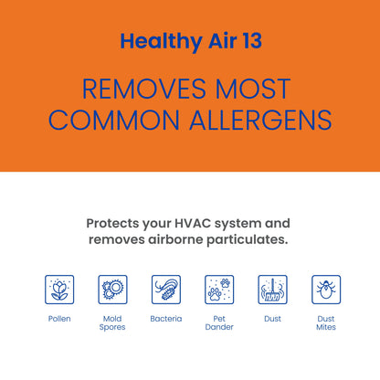AprilAire 213 Replacement Filter for AprilAire Whole-House Air Purifiers - MERV 13 Healthy Home Allergy Filter (Pack of 1)