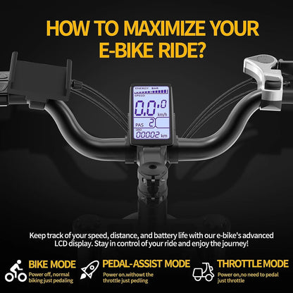 Electric Bike for Adults Ridstar, 20" Fat Tire Electric Motorcycle,1000W Electric Bike with Removable 48V/20Ah Battery E-Bike Shimano 7 Full Suspension Electric Bicycle