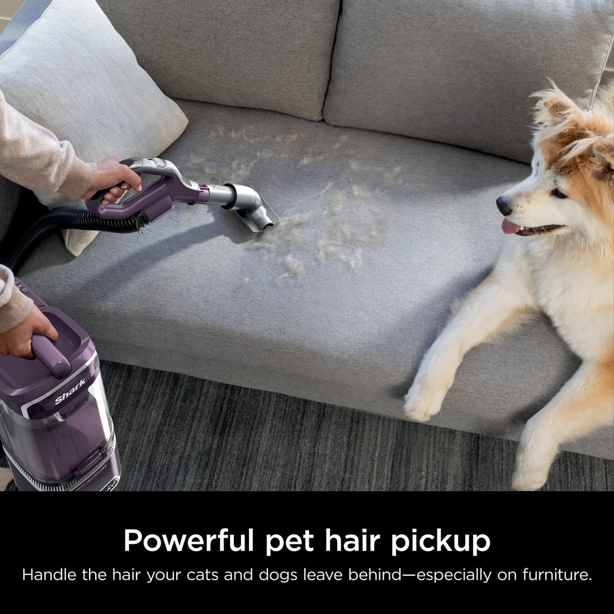 Shark Detect�?Lift-Away® ADV Corded Upright Vacuum with PowerFins Detect�? Self-Cleaning Brushroll, and Odor Neutralizer Technology, LA490
