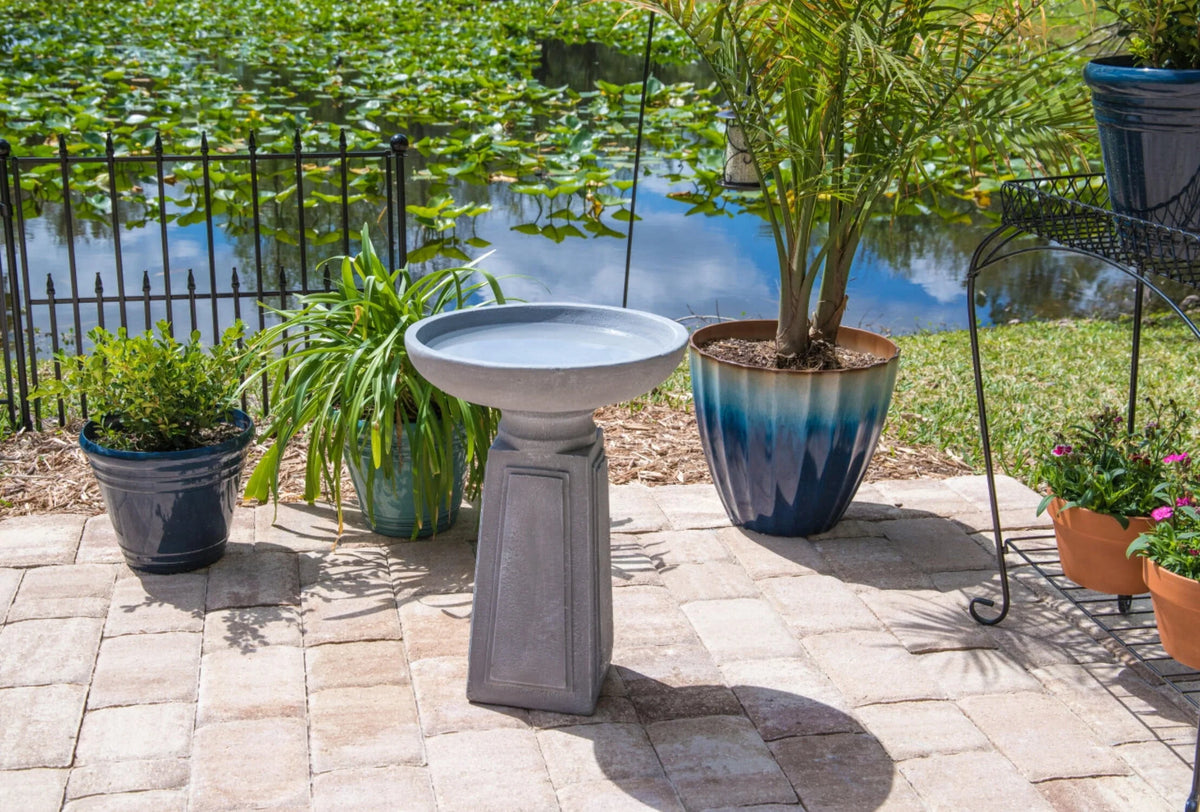 Pedestal Outdoor Bird Bath with Gray Finish